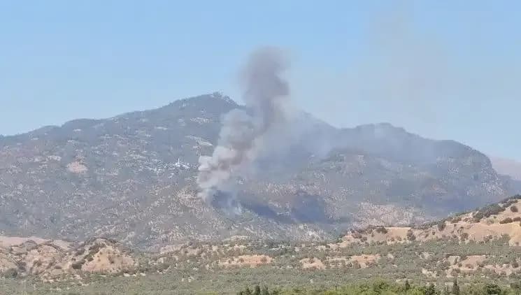 Aydın'da Yangın Alarmı: Zeytinliklerde Şiddetli Alev Mücadelesi Devam Ediyor