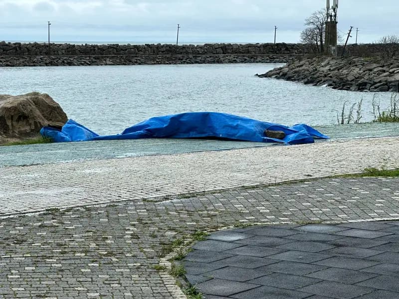 Ordu'da Sahile Vuran İnsansız Hava Aracının İncelemesi Sürüyor