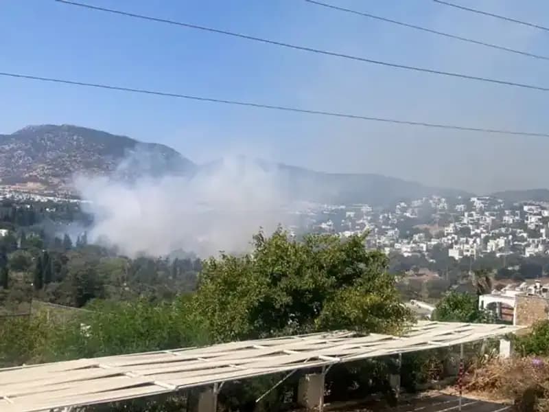 Muğla'daki Orman Yangınları Kontrol Altına Alındı: Sağlık Durumu ve İlerleyen Süreç