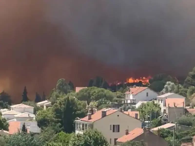 Avrupa Orman Yangınları: Doğanın Laneti ve İnsanlık İçin Tehdit