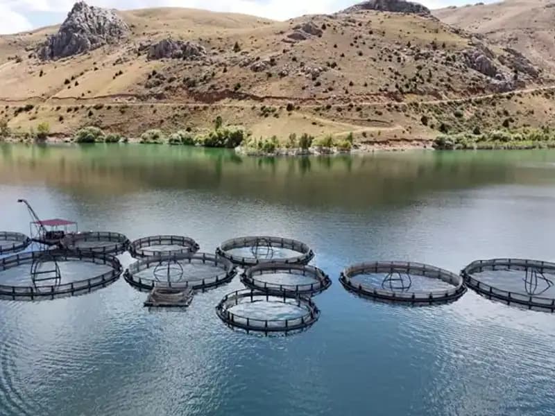 Denizi Olmayan Bölge, Balıkçılıkta 5 Bin Ton Hedefliyor!