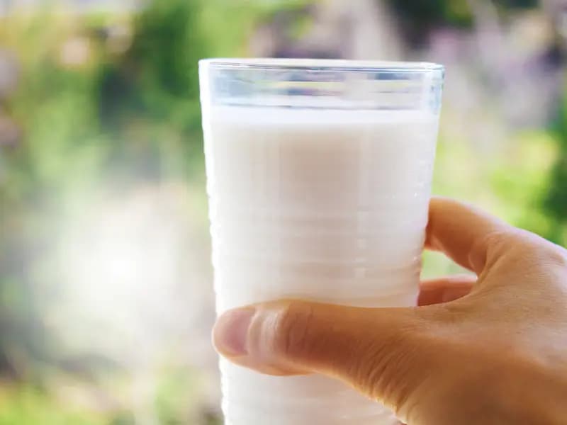 Günde Bir Bardak Süt İçmenin Sağlığa Faydaları ve İnmeyi Azaltması