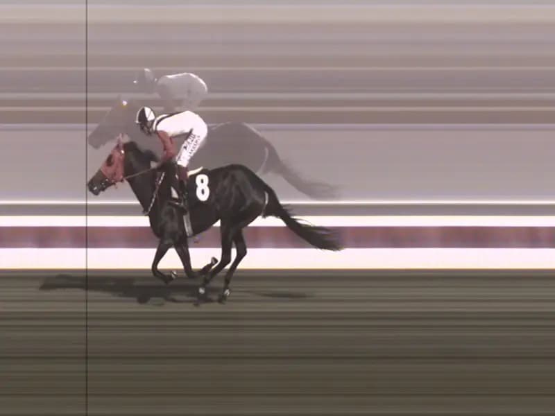 Mersin'de Kavurma Skandalı: Yarış Atı Eti Tespit Edildi