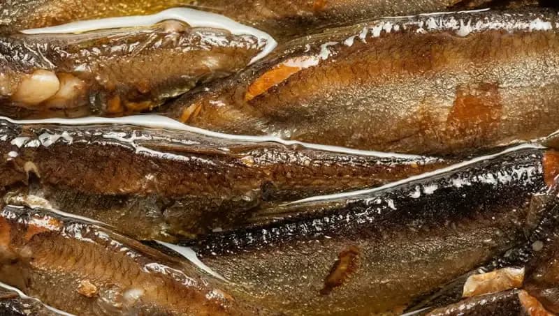 Doğanın Aspirini: Kalp ve Beyin Sağlığını Koruyan Süper Gıda