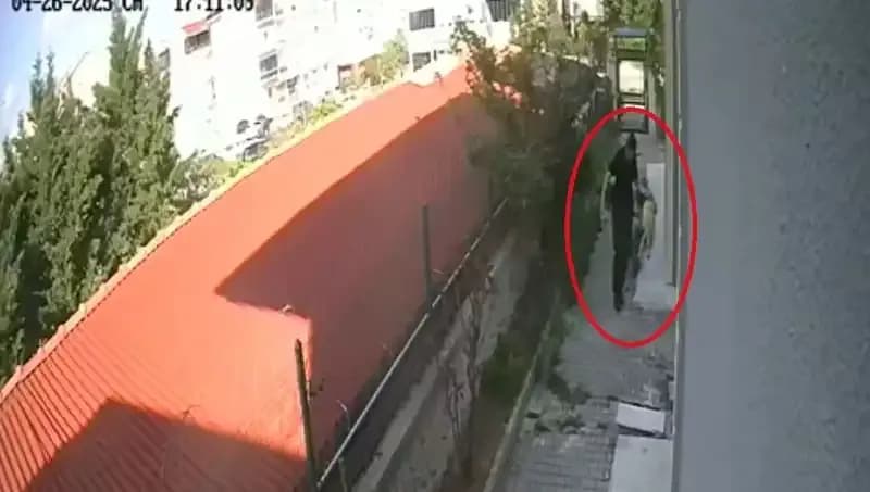 Veteriner Doktorun Şok Eylemi: Sahiplendiği Köpekleri Katletti!