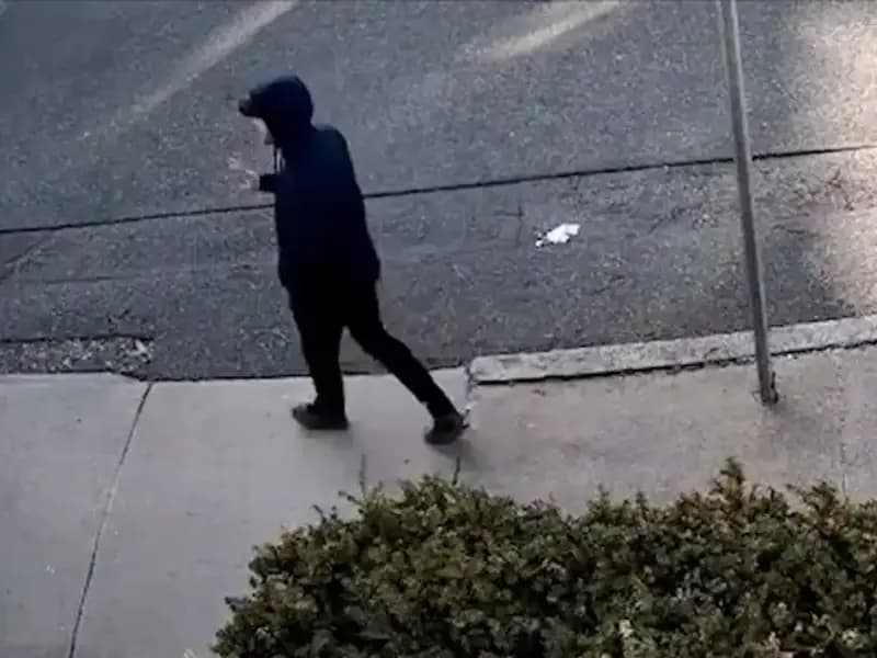 Türk Öğrenci, ABD'de Hamas Destekleme İddiasıyla Gözaltına Alındı