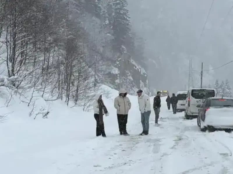 Trabzon’da Korkutan Çığ Düşmesi: Karayolu Ulaşımına Kapatıldı!