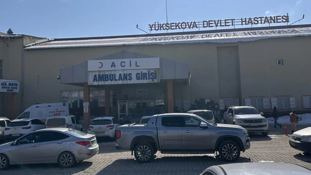 Hakkari'de Köpeklerin Saldırısında Çocuk Hayatını Kaybetti