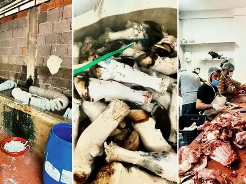 Adana'da Hijyen Skandalı: Yüzlerce Kilo Kaçak Paça Ele Geçirildi