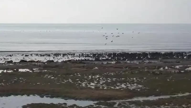 Türkiye’nin En Büyük Gölü: Van Gölü Ciddi Su Kaybı ile Karşı Karşıya