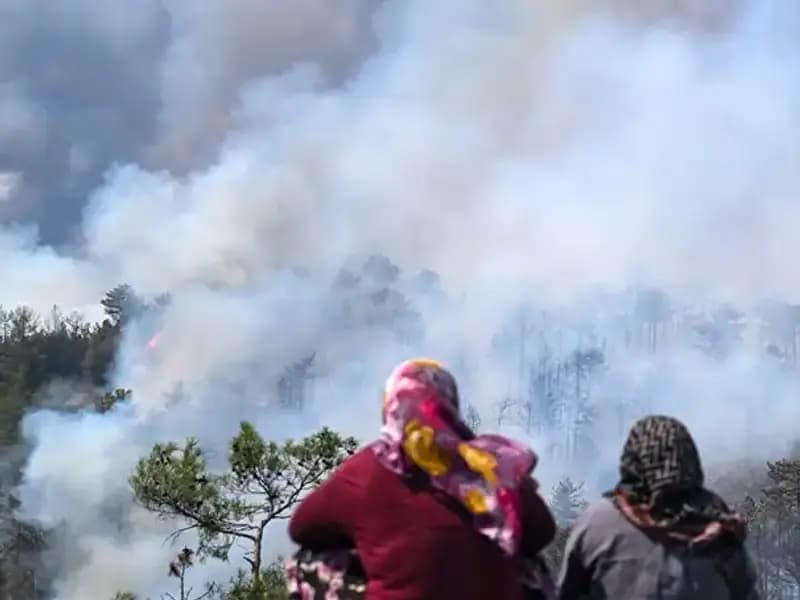 Bursa'daki Yangınların Ardından Kirlilik Süreci Ne Kadar Uzayacak?