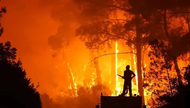 İzmir ve Bursa'daki Yangınlarla İlgili İki Şüpheli Tutuklandı: Ayrıntılar Ortaya Çıktı