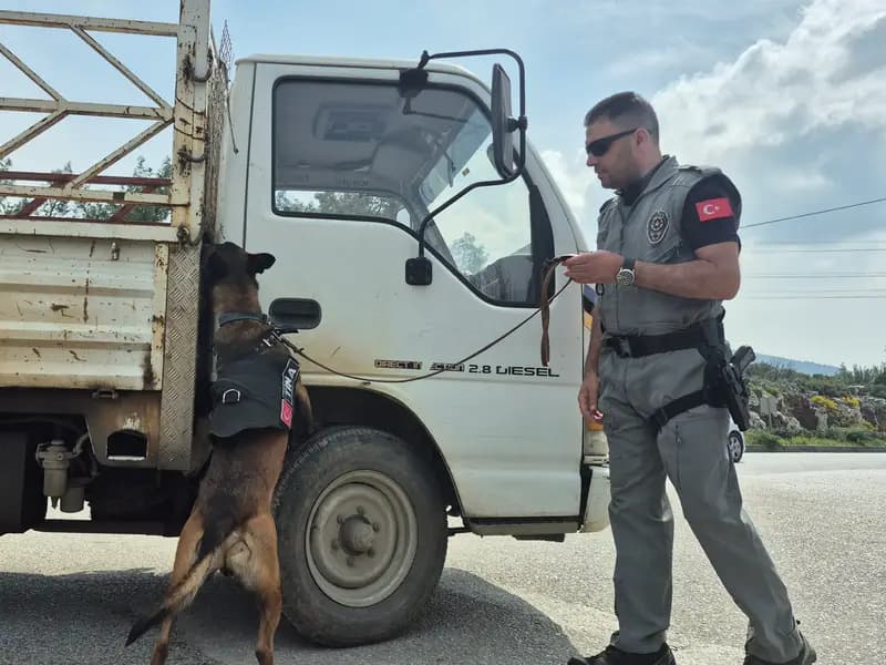 Ramazan Bayramı'nda Bodrum'a 25 Bin Araç Girişi Gerçekleşti
