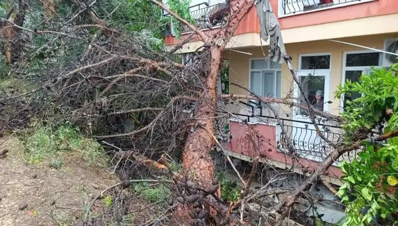 Yağmurun Gücü: Bina, Aşırı Yağış Sonrası Devrildi!