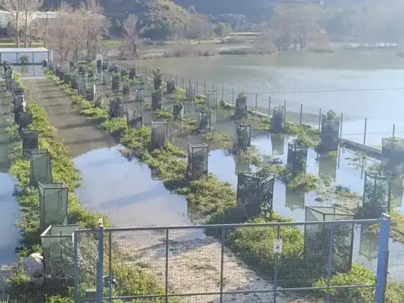 Irmak Taşması Sonucu Otoyol Şantiyesi Sular Altında Kaldı