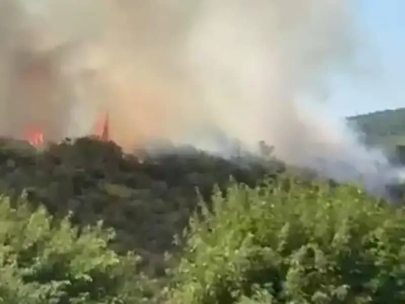 İstanbul'da Fırtınanın Ardından Patlayan Orman Yangını: Tahliyeler Başladı