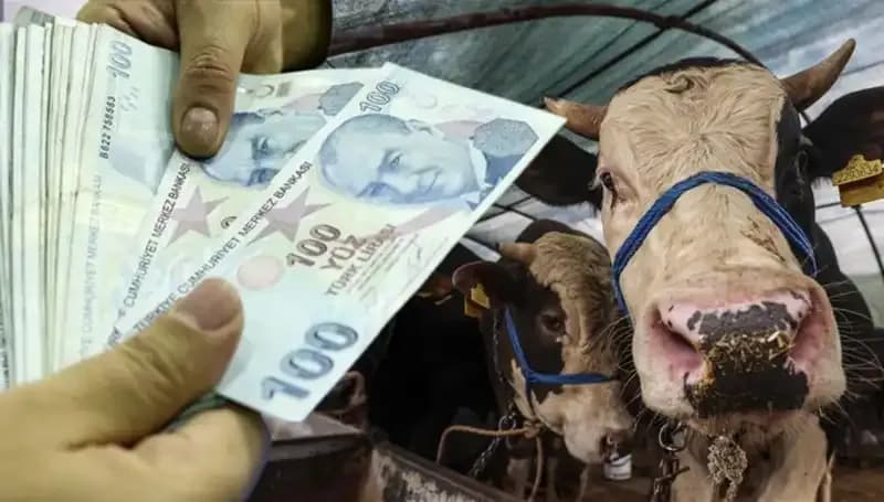 Memur ve Emekli Maaşları Bayram Öncesi Yatacak mı? İşte Detaylar!