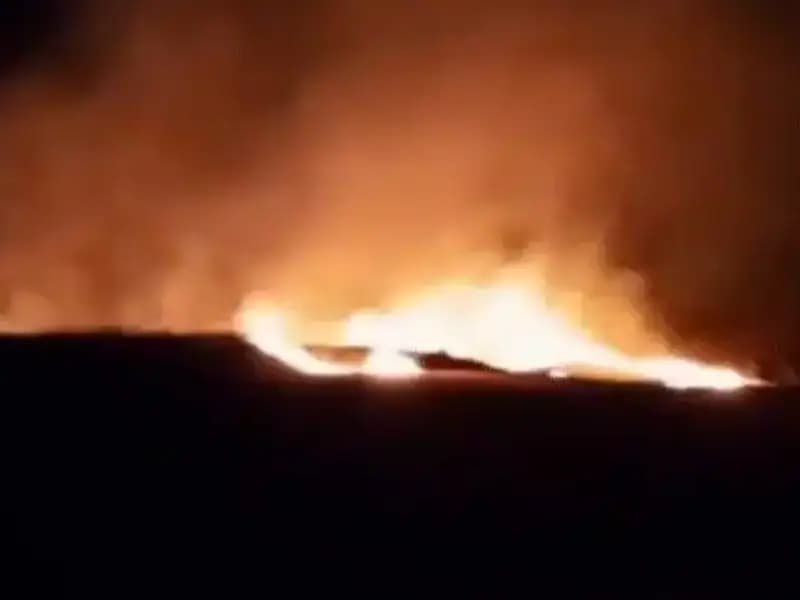 20 Dönüm Tarım Arazisi Alev Alev Yandı: Neler Oluyor?