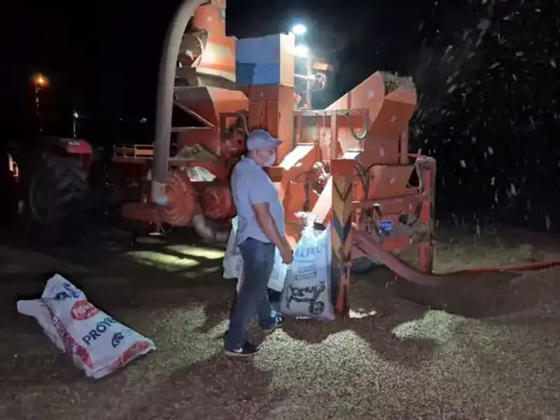 Bölgenin Geçim Kaynağı Hasat Bitti, Nöbet Başladı: Köylülerin Hayatındaki Değişim