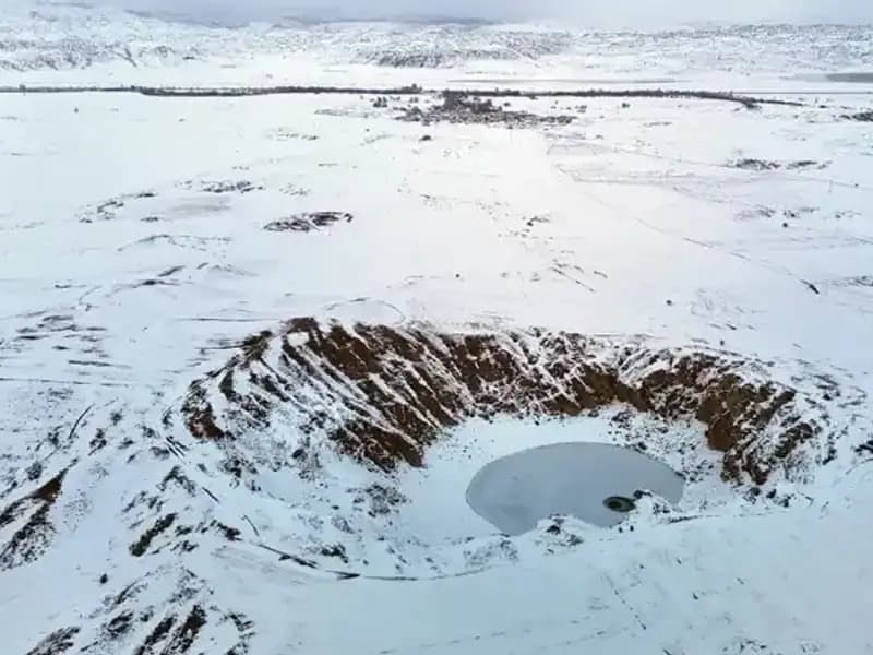 Dondurucu Soğuklar Renk Değiştiren Bitkileri Etkiledi mi?