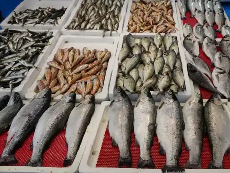 Yasakların Patinaj Yaptığı Şehrimizde Tezgahlar Onlara Kaldı