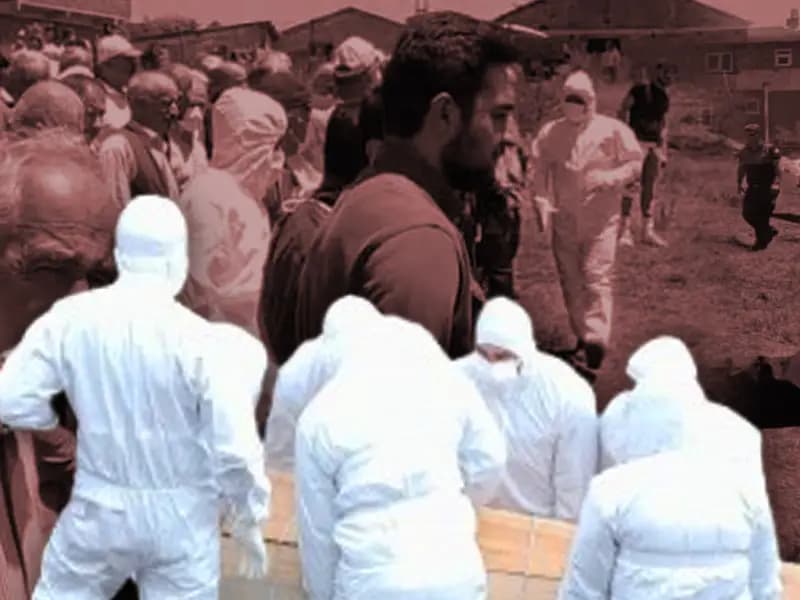 Kene Tehlikesi: 6 Şehir İçin Nisan Uyarısı Yapıldı