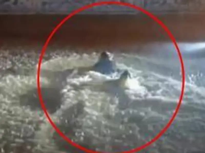 Mardin Midyat'ta Aniden Gelen Yağışlar Su Baskınlarına Neden Oldu