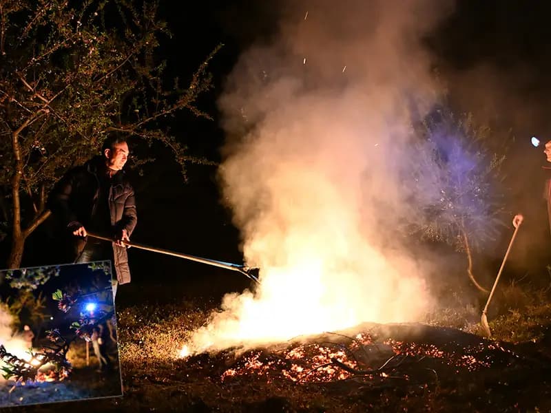 Türkiye Genelinde 174 Merkezde Zirai Don Alarmı