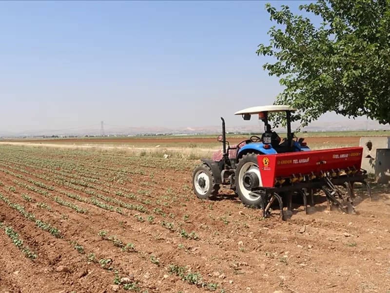 Gübre Tedarikinde Yeni Önlem: Gümrük Vergileri Sıfırlandı