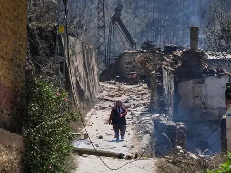İzmir ve Bilecik'teki Yangınlar: 415 Bina Yok Oldu, Nedenleri ve Sonuçları