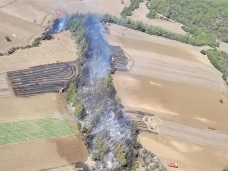 Adana'da Şok Edici Orman Yangını: Hızla Yayılıyor!