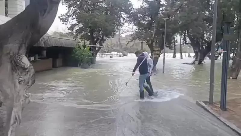 Manavgat Irmağı'nda Sel Alarmı: İşletmeler Su Altında Kaldı