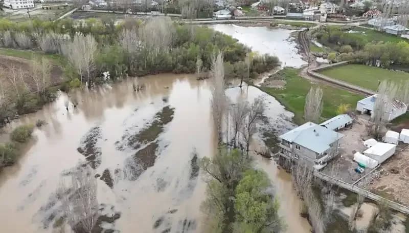 Ağrı'da Şiddetli Yağışlar Sel Felaketine Yol Açtı