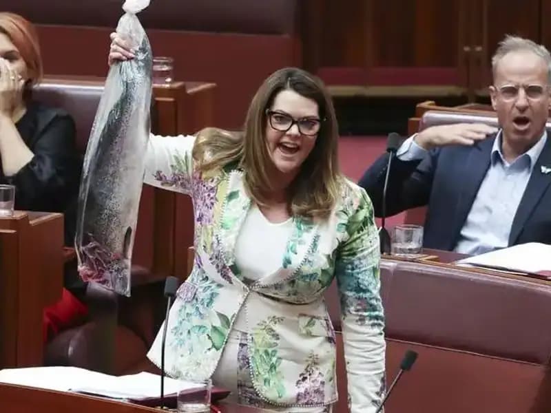 Parlamentoda Çürük Balık Teriyle Protesto: Senatörler Tükürerek Kaçtı!